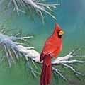 A Cardinal Winter